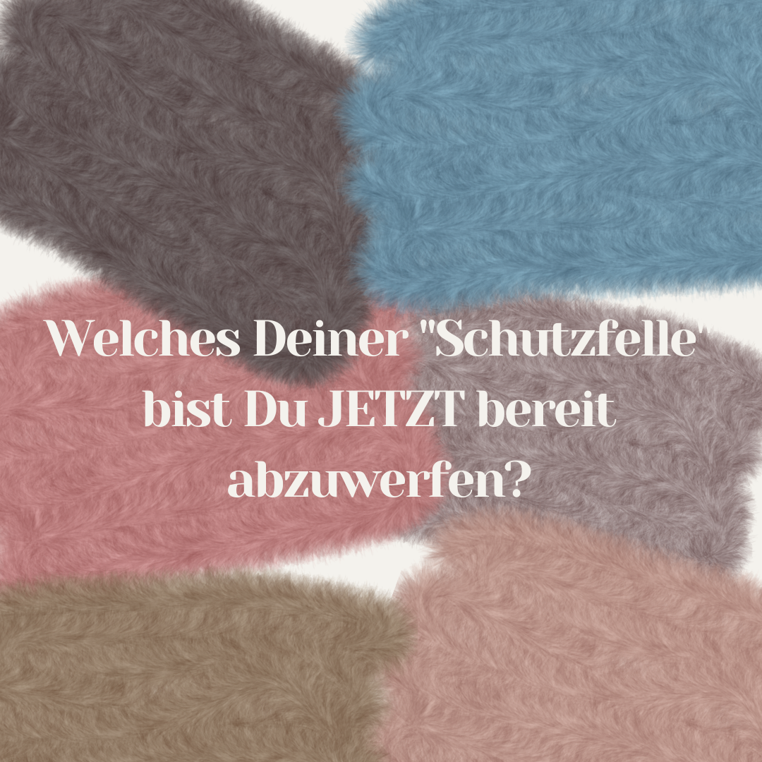 Schutzfell (4)