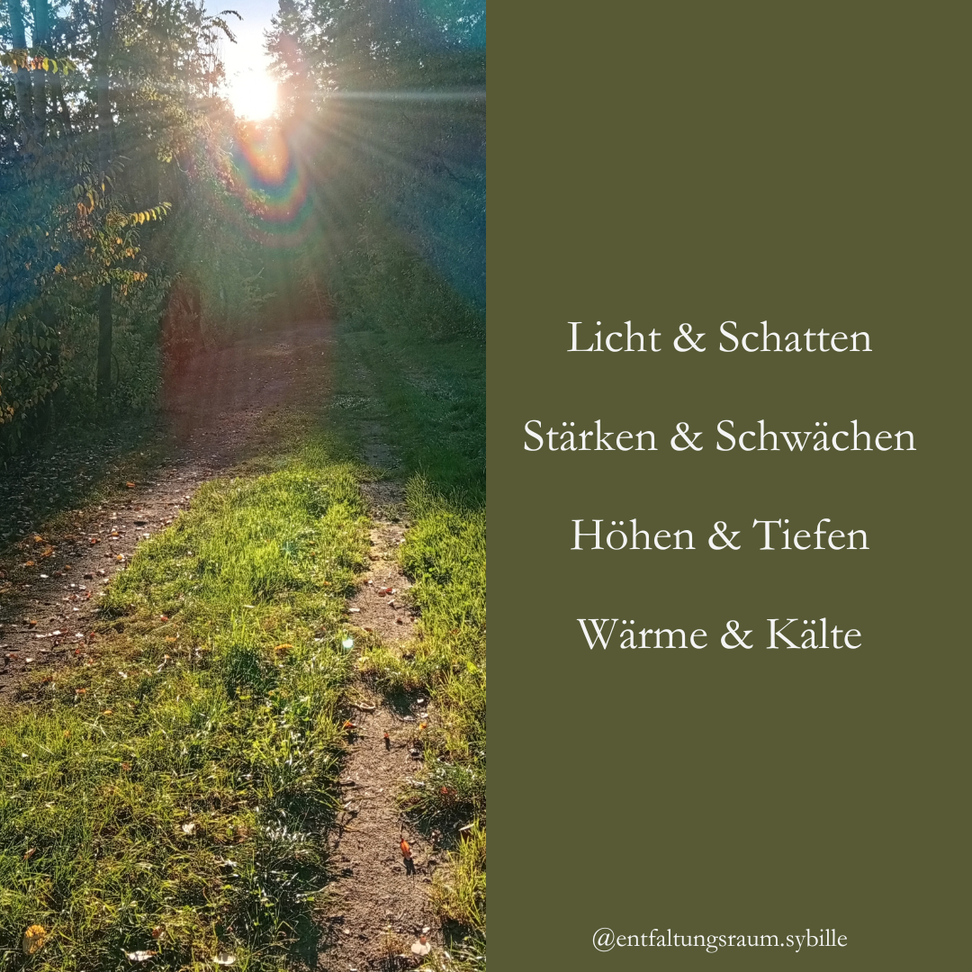 Beitrag Licht &amp; Schatten (1)