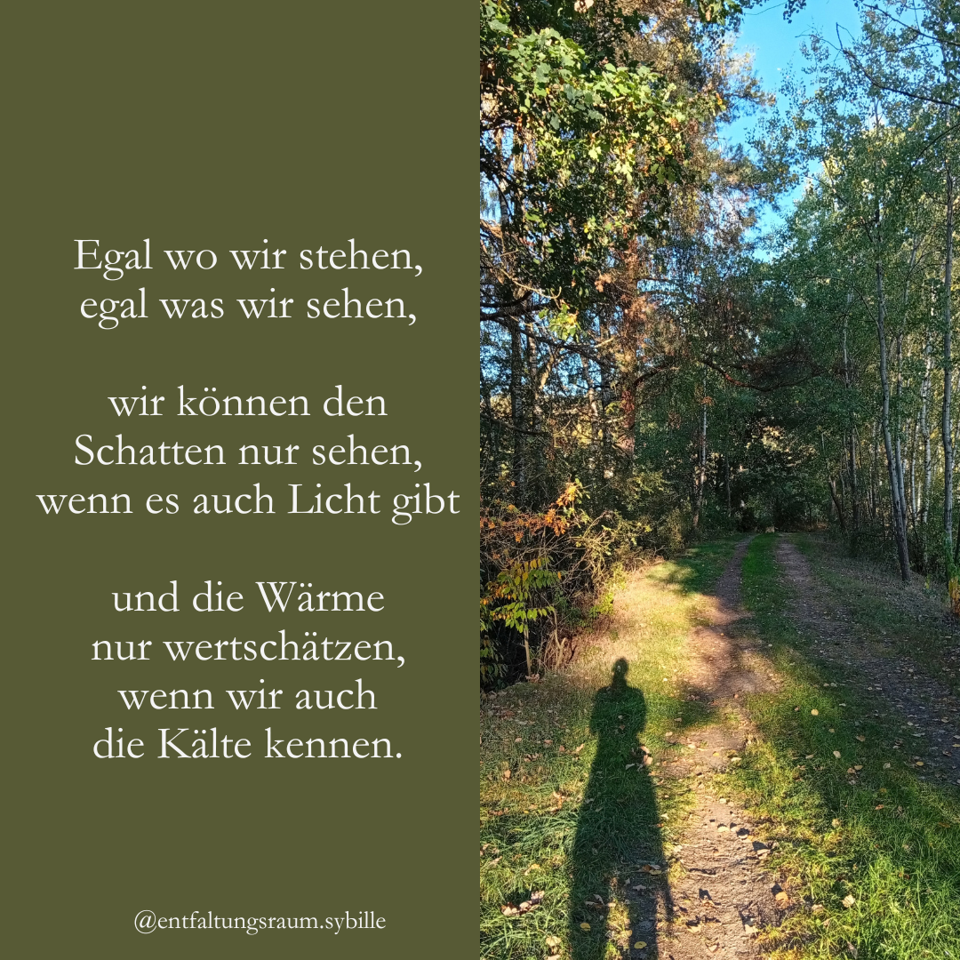 Beitrag Licht &amp; Schatten (2)