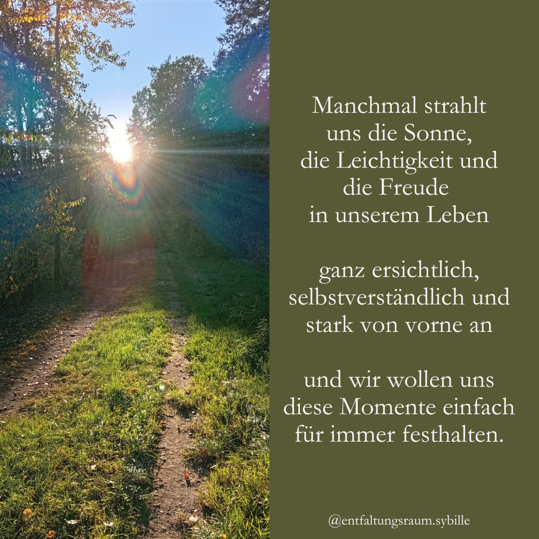 Beitrag Licht &amp; Schatten (3)