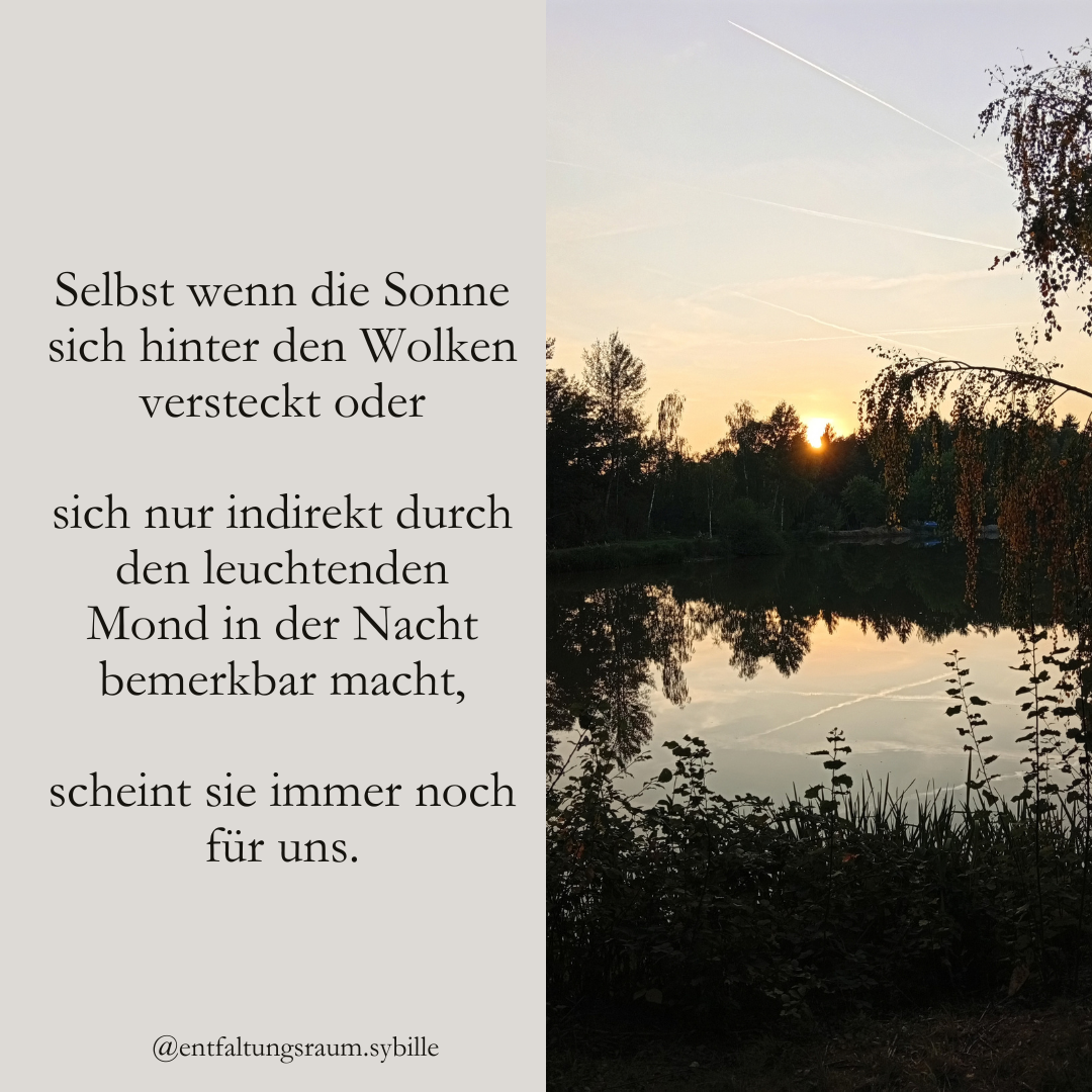 Beitrag Licht &amp; Schatten (5)