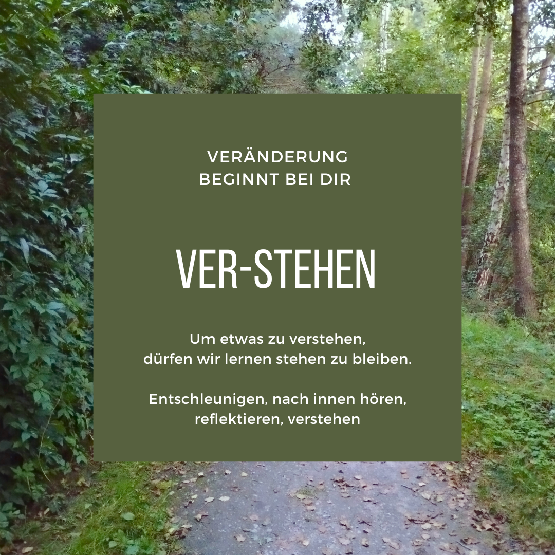 Ver-stehen